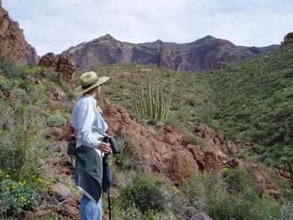 How to Use Hiking Poles