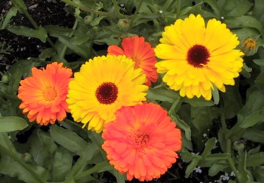 addicting games tattoo artist tattoo artist certification