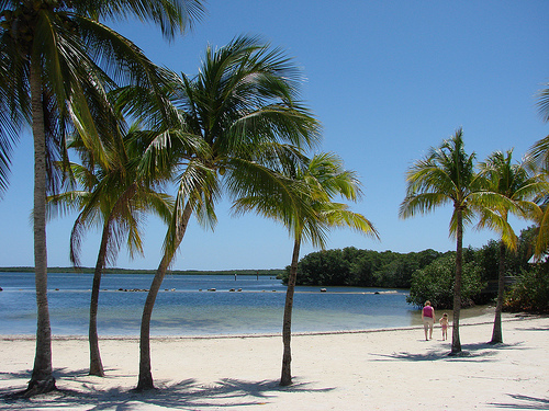 Even if you decide on Florida as your honeymoon destination, you still have Even if you decide on Florida as your honeymoon destination, you still have