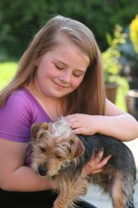 How to Take Care of a Dog