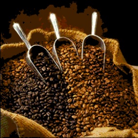 How to Store Coffee Beans