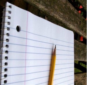 bar flies essay bar flies essay