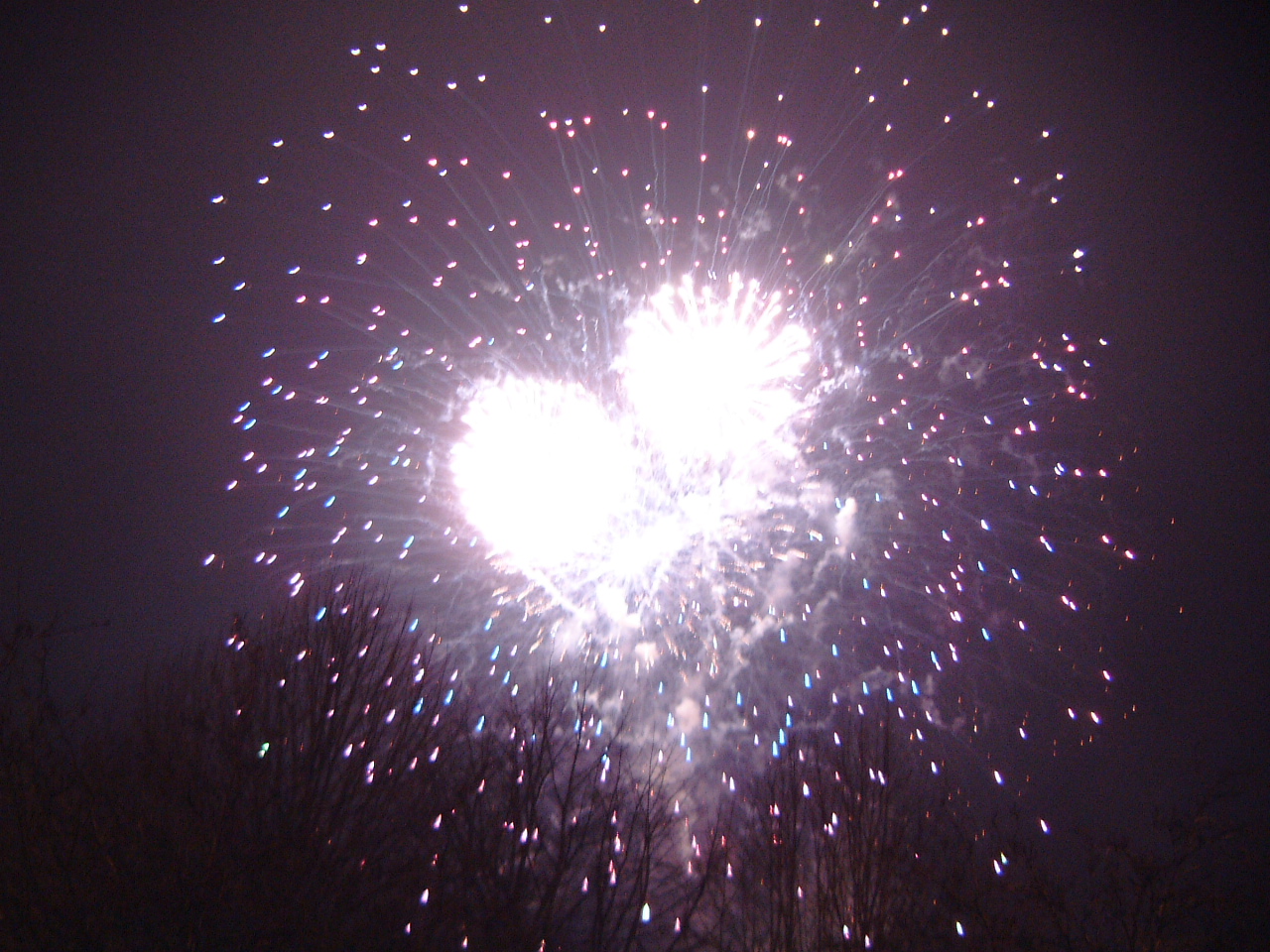 How Do Fireworks Work? Garden Guides