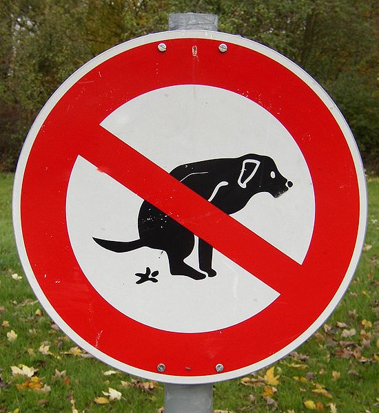 What Is A Home Remedy For Dog Constipation