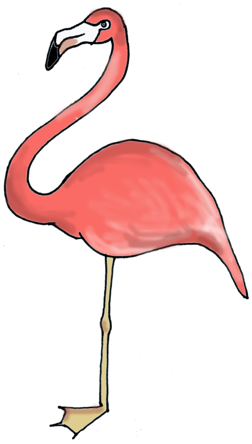 Amy droitcour thesis 02 image