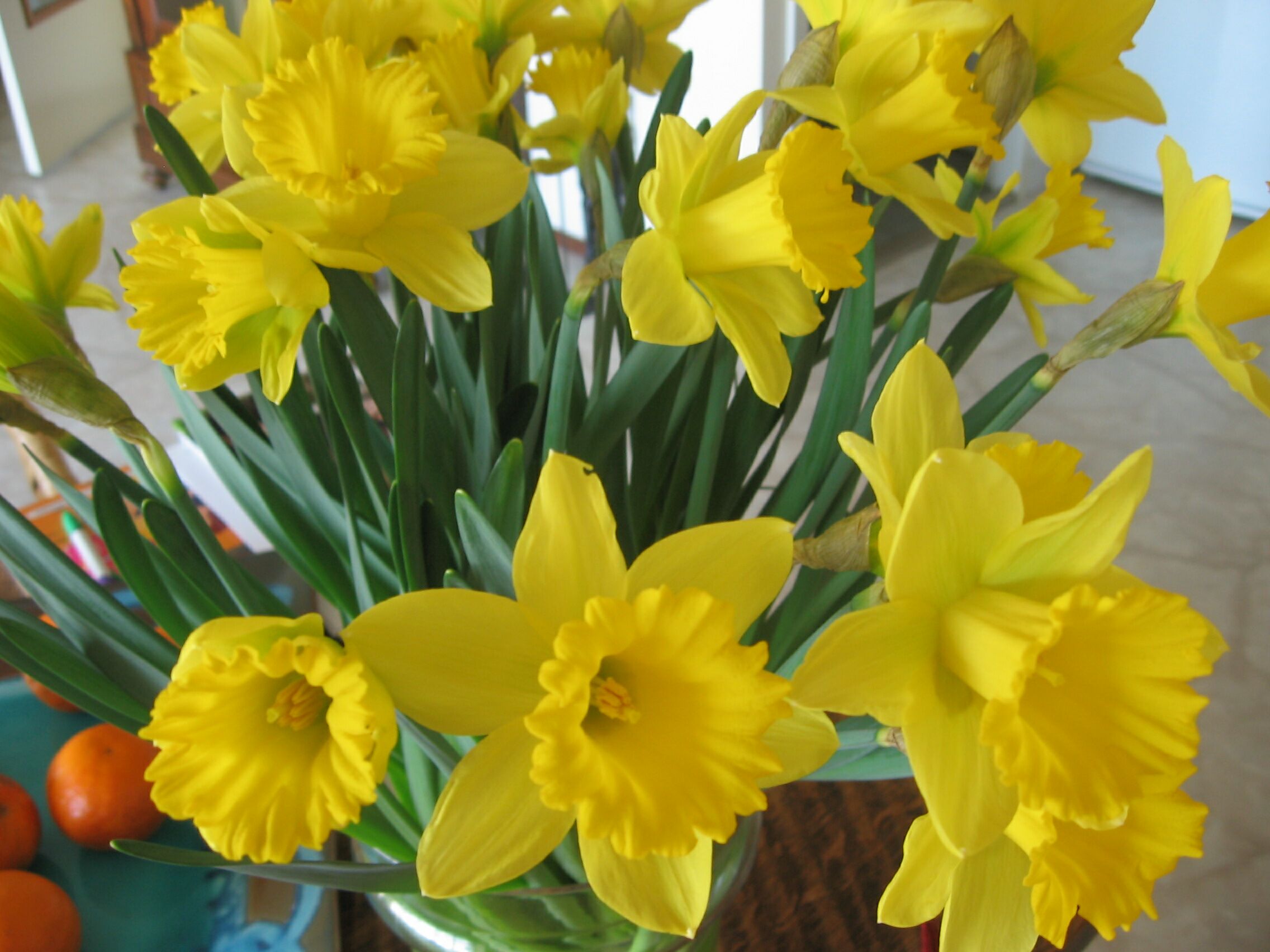 how to force flower bulbs garden guides how to force flower bulbs garden guides
