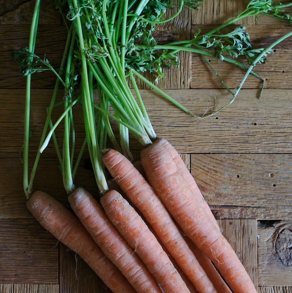 When to Harvest Carrots Garden Guides