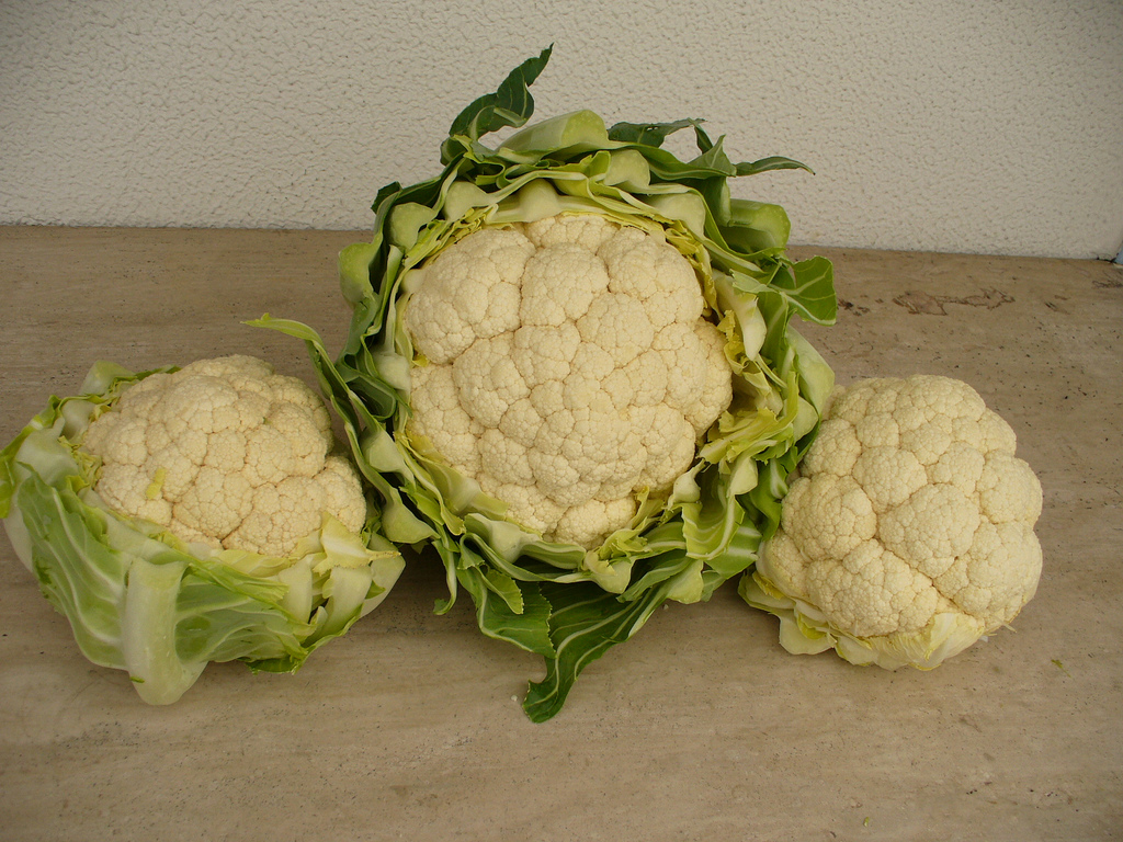When to Harvest Cauliflower Garden Guides